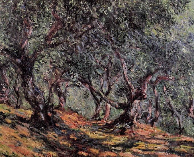 Claude Monet Olive Trees in Bordighera